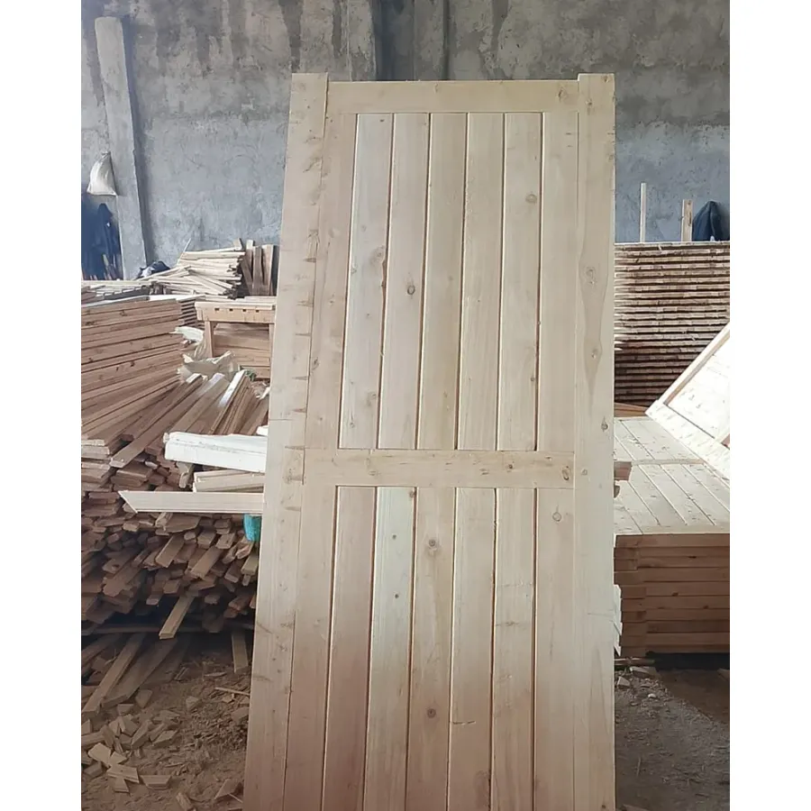 T-Door — view 2