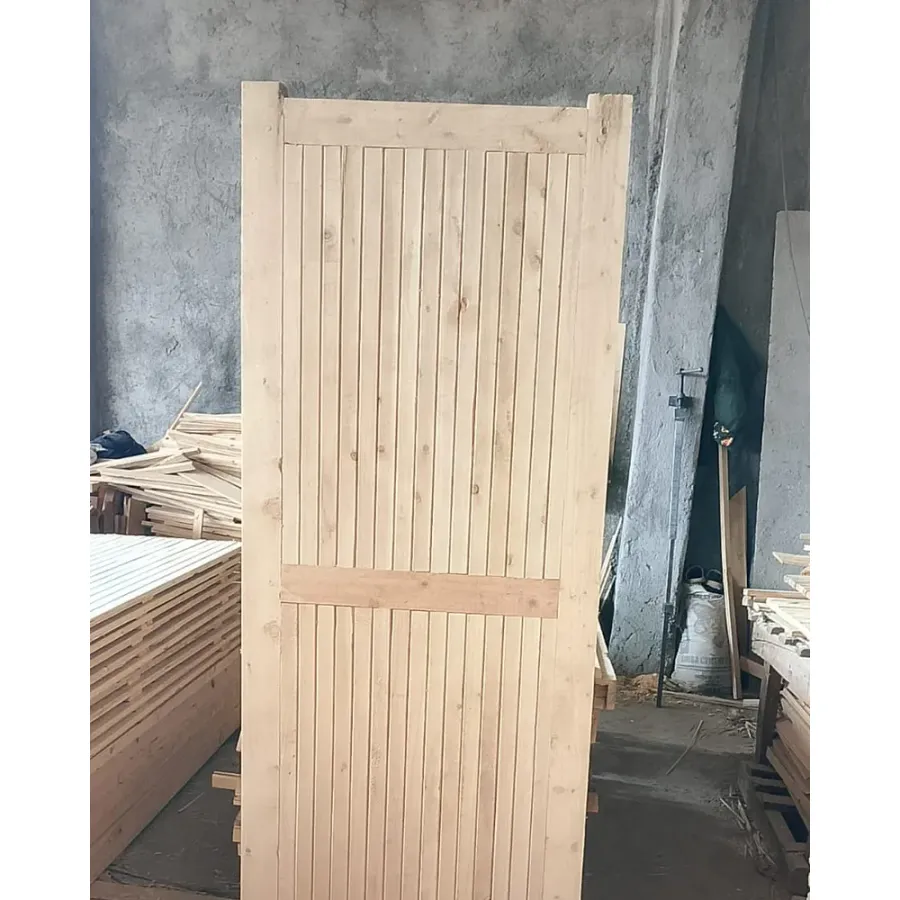 T-Door — view 1