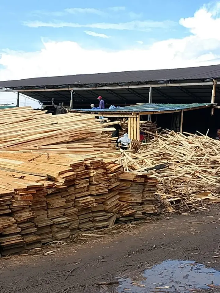 Timber